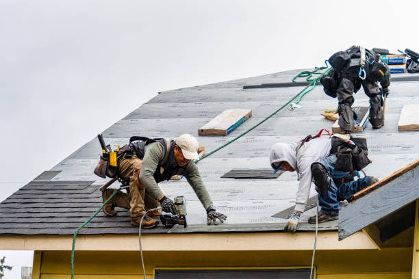 Professional Gutter Installation technician working in Laurel Springs, NC